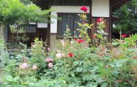 二宮家の日本庭園-03