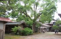 二宮家の日本庭園