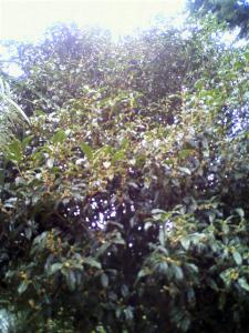 2011100110120001.jpg