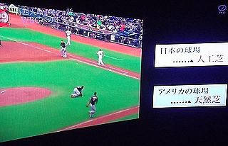 DSCF8908-1.jpg