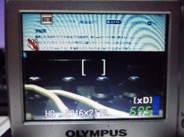 IMG_0051_result.jpg