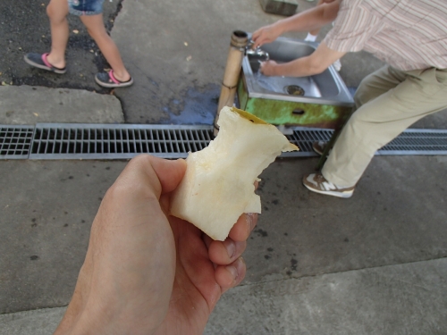 P9230191.jpg