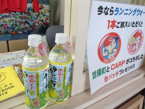 P9230218_R.jpg
