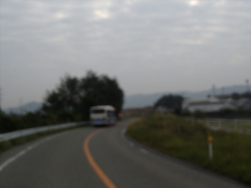 P9300264_R.jpg