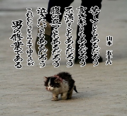13122202.jpg