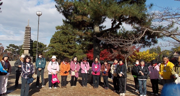DSCN1805.jpg