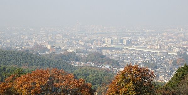 IMG_1160.jpg