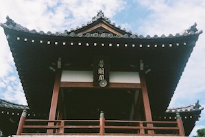 b_tamayuramore_p_0802.jpg