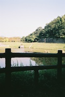 b_tamayuramore_p_0813.jpg