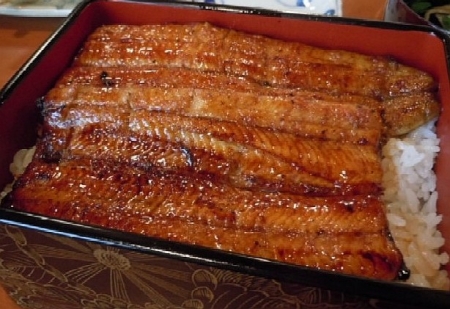DSCN1395.jpg