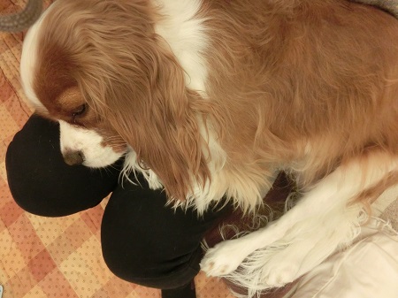 001_20131225164240aab.jpg