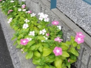conv0011_convert_20141003144517.jpg