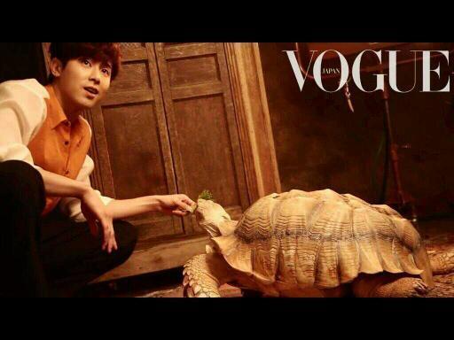 VOGUE ユノ 亀