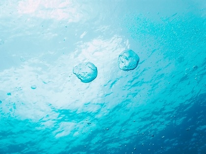 20120317-3