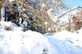 17545492_2047380570_251large.jpg