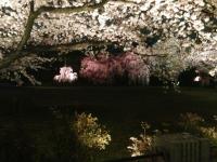 attachment01_20130404101816.jpg