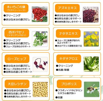 バイオハーブ
