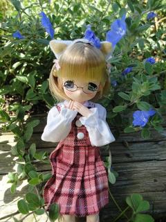 琥珀★青い花