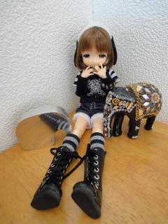 柚子とゾウ★