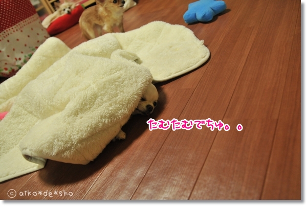 20130203-000322-2.jpg