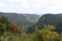 画像 702