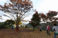 画像 703