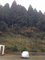 画像 734