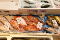 画像 655