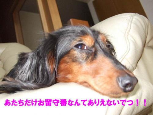 294-thumbnail2.jpg