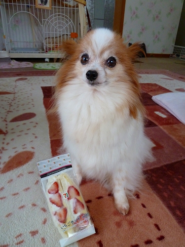 セブンのいちごサンド!
