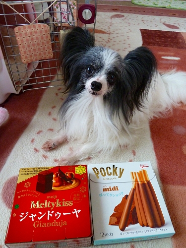 ジャンドゥーヤそしてポッキー♪