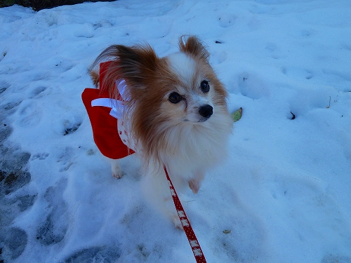 まだ雪があるよ~