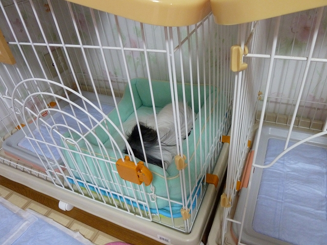 私撮影