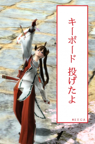 投げないで下さい