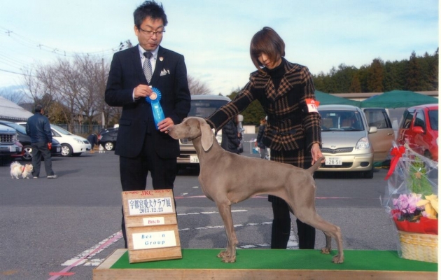 20131223宇都宮マシュ048