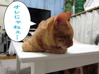 ミーラ オレじゃねぇ…