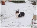 20120229.jpg