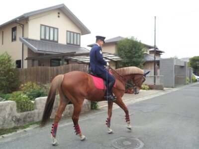 201311292217577da.jpg