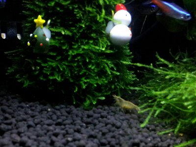 20131209234429539.jpg