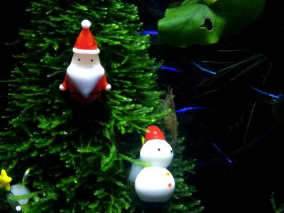 20131209234430c8c.jpg