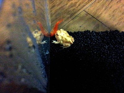 20131210_175244.jpg