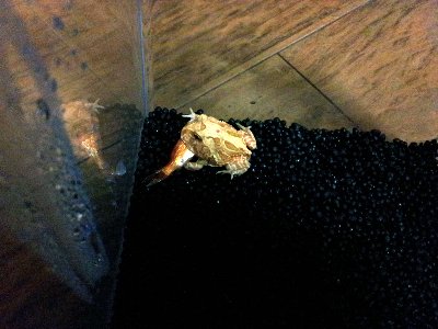 20131210_175253.jpg