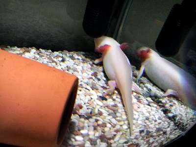 20131210_210445.jpg