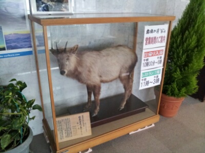20131216155812752.jpg