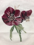 red flowers_2