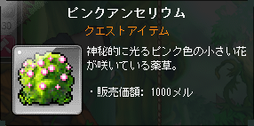 ピンクアンセリウム