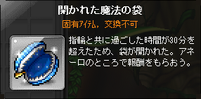 開かれた魔法の袋