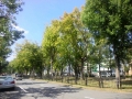 2014092918590000.jpg