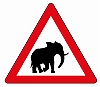 South Africa Elephant