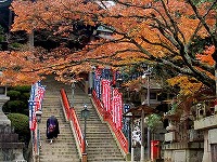 年末写真